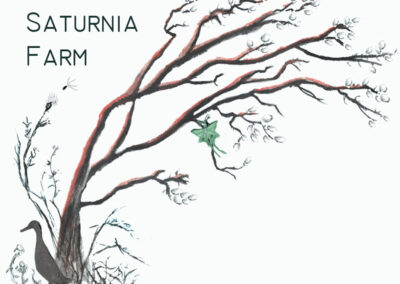Saturnia Farm (LLC)