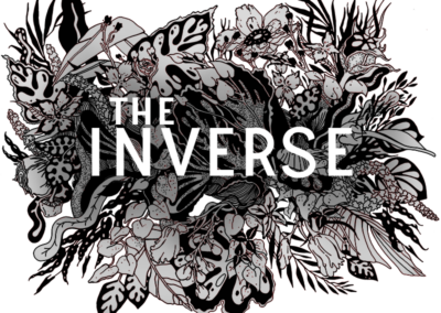 The Inverse