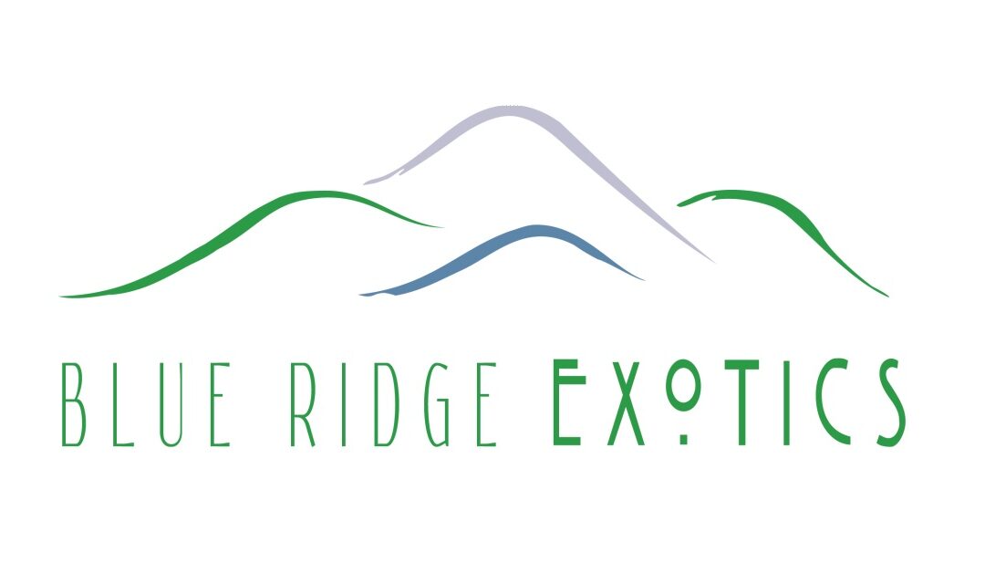 Blue Ridge Exotics