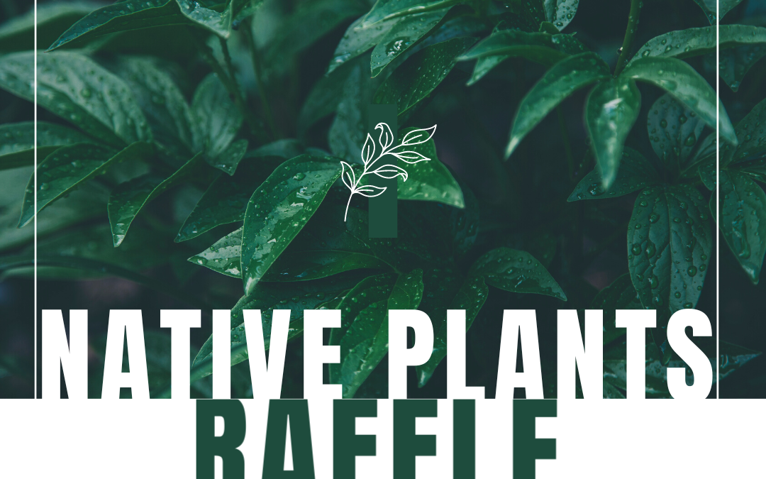 Native Plants Raffle