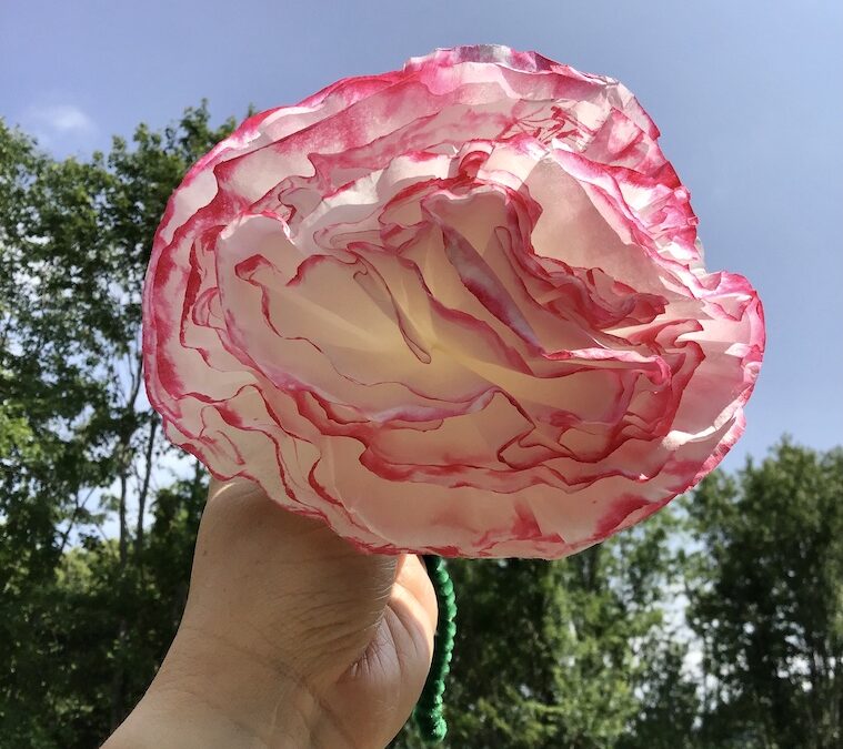 Watercolor Paper Peonies